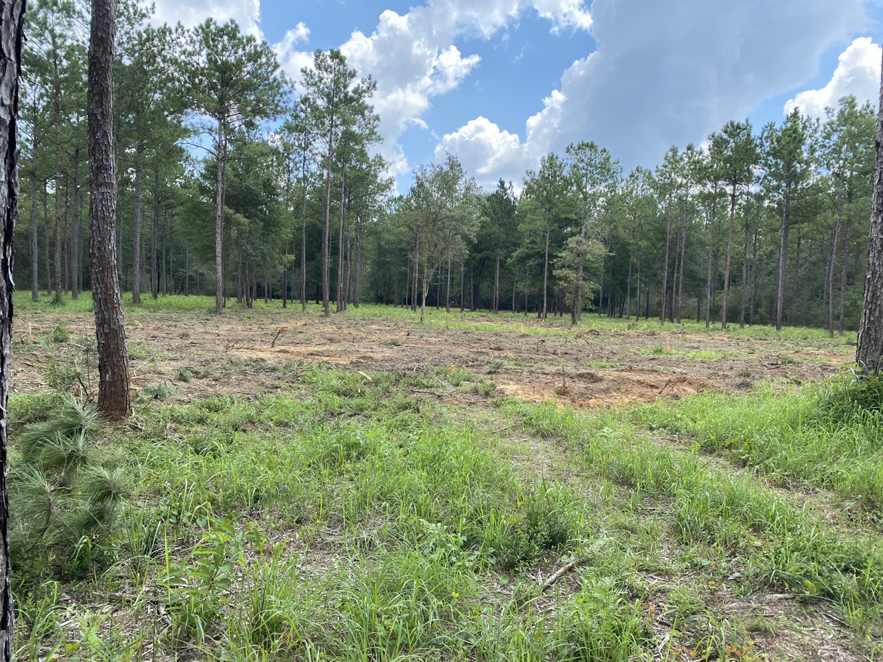 Yellow excavator parked on a snowy road by a forest.